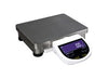 EBL 32001e Eclipse Heavy Duty Precision Balances, 32000G x 0.1G